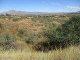 392 Paseo Ardilla - Photo 2