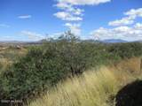 392 Paseo Ardilla - Photo 4
