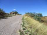 392 Paseo Ardilla - Photo 7