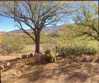 25 Javelina Court - Photo 14