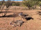25 Javelina Court - Photo 40