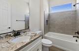 8249 Sonoran Oak Drive - Photo 24