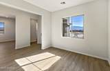 8249 Sonoran Oak Drive - Photo 8