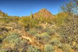 14451 Giant Saguaro Place - Photo 10