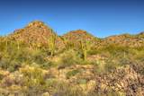 14451 Giant Saguaro Place - Photo 11
