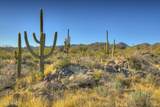 14451 Giant Saguaro Place - Photo 12