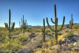 14451 Giant Saguaro Place - Photo 13