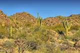 14451 Giant Saguaro Place - Photo 3