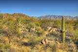 14451 Giant Saguaro Place - Photo 4