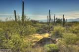 14451 Giant Saguaro Place - Photo 5