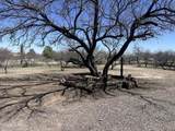 3161 Rice Road - Photo 6