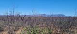 Lot 13 Sb Ranch Road - Photo 4