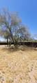 10281 Anthony Drive - Photo 46