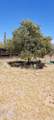 10281 Anthony Drive - Photo 47