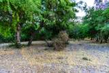5401 Golder Ranch Drive - Photo 6