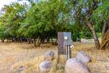 5401 Golder Ranch Drive - Photo 7