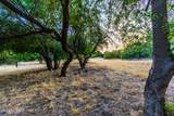 5401 Golder Ranch Drive - Photo 9