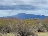 8100 Fellars Well Trail - Photo 14