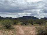 8100 Fellars Well Trail - Photo 16