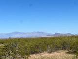 8100 Fellars Well Trail - Photo 18