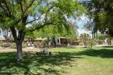 102 Paseo Quinta - Photo 38