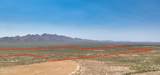 TBD Agua Blanca Road - Photo 32