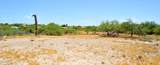 10347 Summit Park Road - Photo 6