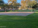 15958 Via Puente Del Valle - Photo 50