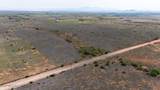 4 Acres Treasure Road - Photo 13