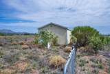 4 Acres Treasure Road - Photo 23