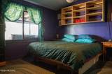 12020 Pajaro Verde - Photo 17