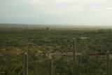 3060 Placita De Nazca - Photo 10