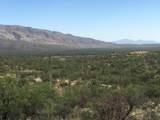 3060 Placita De Nazca - Photo 16