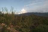 3060 Placita De Nazca - Photo 5