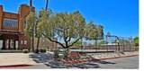 1810 Blacklidge Drive - Photo 23