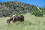 287 Cochise Stronghold R Road - Photo 50