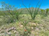  Hilton Ranch Road - Photo 28