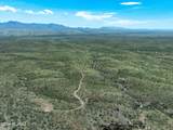  Hilton Ranch Road - Photo 7