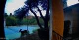 6414 Tierra De Las Catalinas - Photo 33