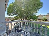 1776 Palo Verde Avenue - Photo 8