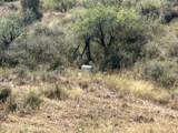 TBD Proctor Lane - Photo 7