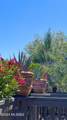6320 Grace Lane - Photo 48
