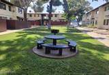 1324 Avenida Polar - Photo 20