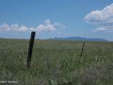  Hwy 83 & Elgin Rd Road - Photo 13