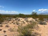 TBD Sun Rock Trail Road - Photo 7