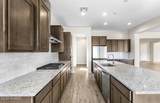 8258 Sonoran Oak Drive - Photo 18
