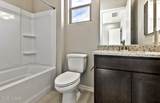 8258 Sonoran Oak Drive - Photo 5