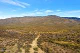 00000 Mckenzie Wash Road - Photo 16