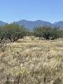  Horse Ride Loop - Photo 1