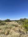  Horse Ride Loop - Photo 4